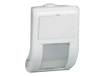 iic_020_det_ext_1