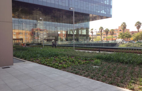 qvm_d350_projar