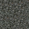 rsf_coco_gris
